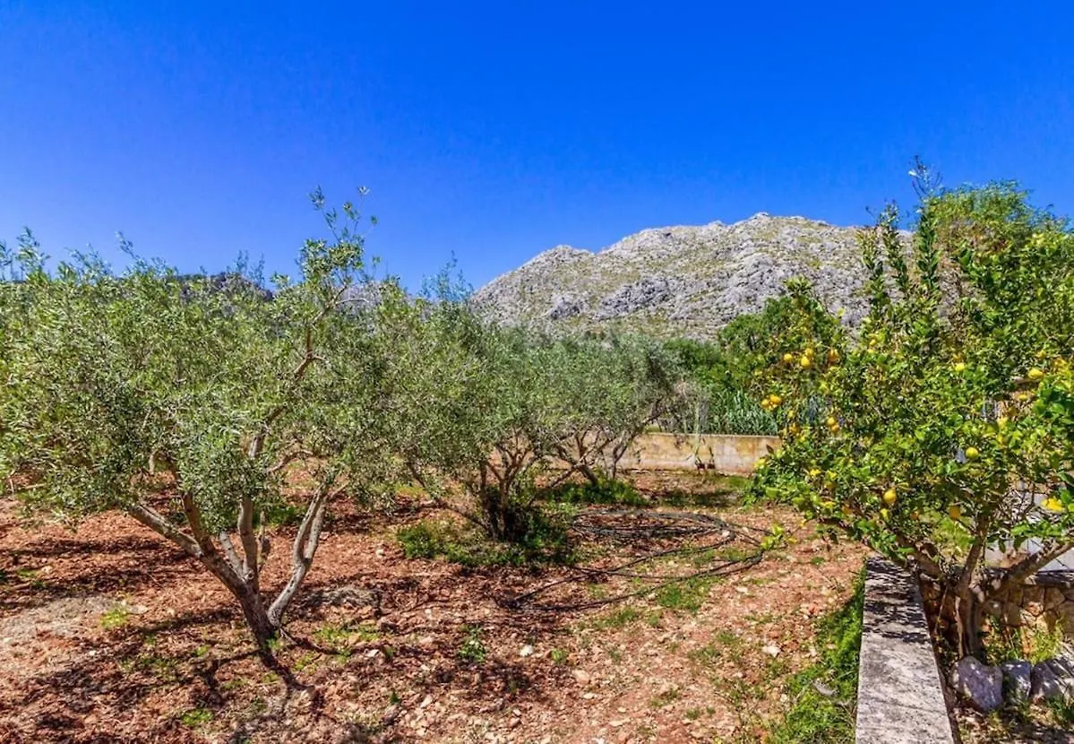 Beautiful Villa In The Countryside Near Pollensa By Renthousing  Польенса