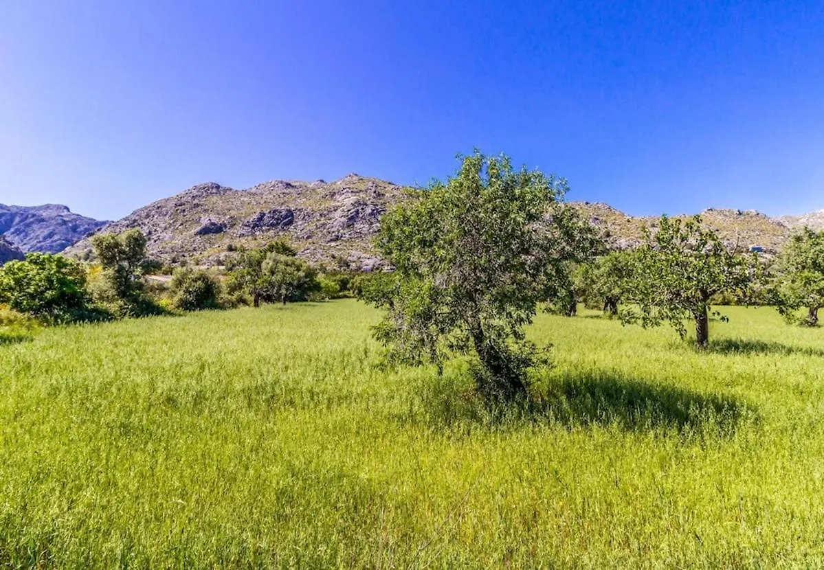 Beautiful Villa In The Countryside Near Pollensa By Renthousing Испания
